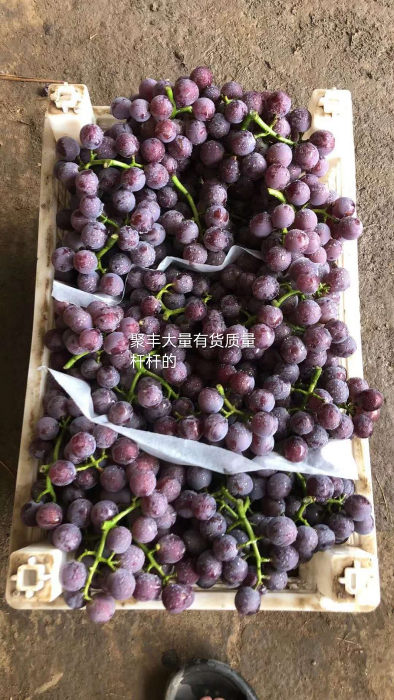 飓风