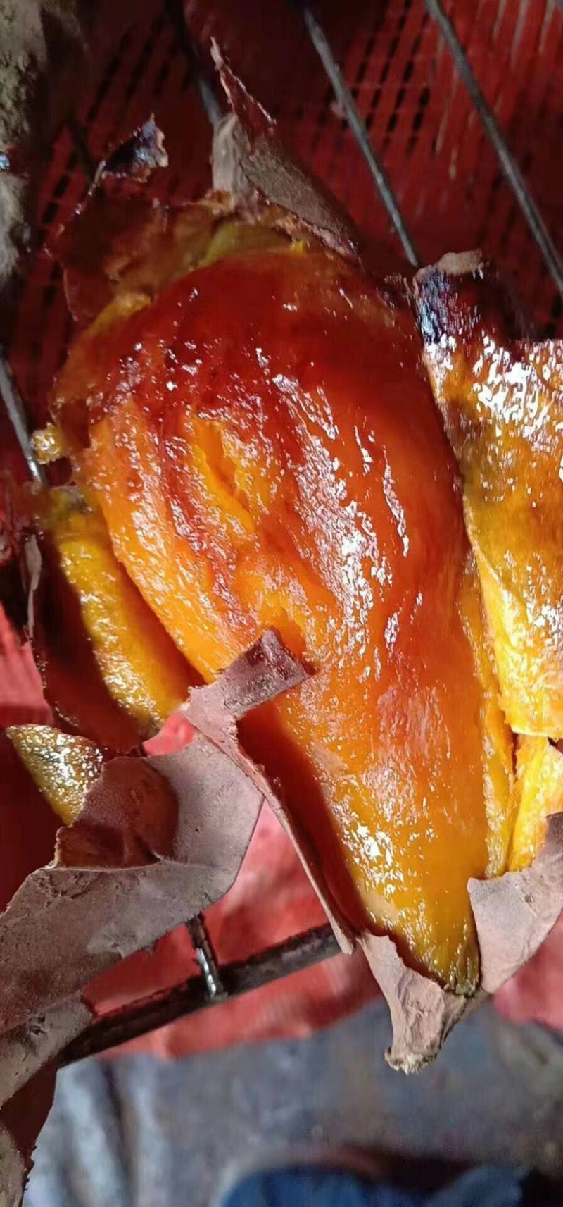 烟薯25