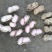 花生，花生品种多，品质好，量大，服务好，谢谢采购