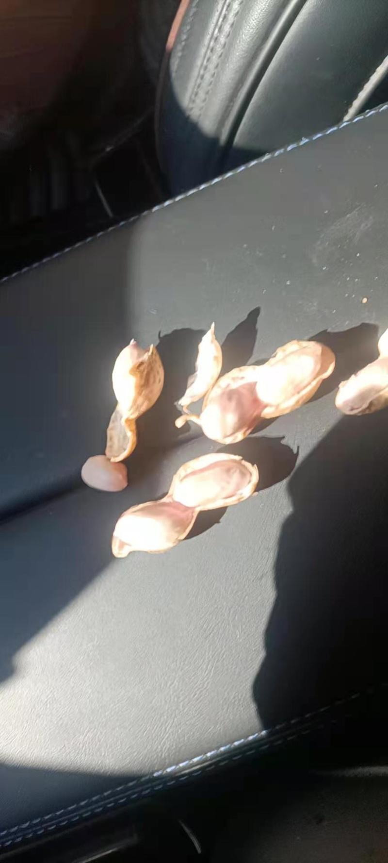 花生，花生品种多，品质好，量大，服务好，谢谢采购