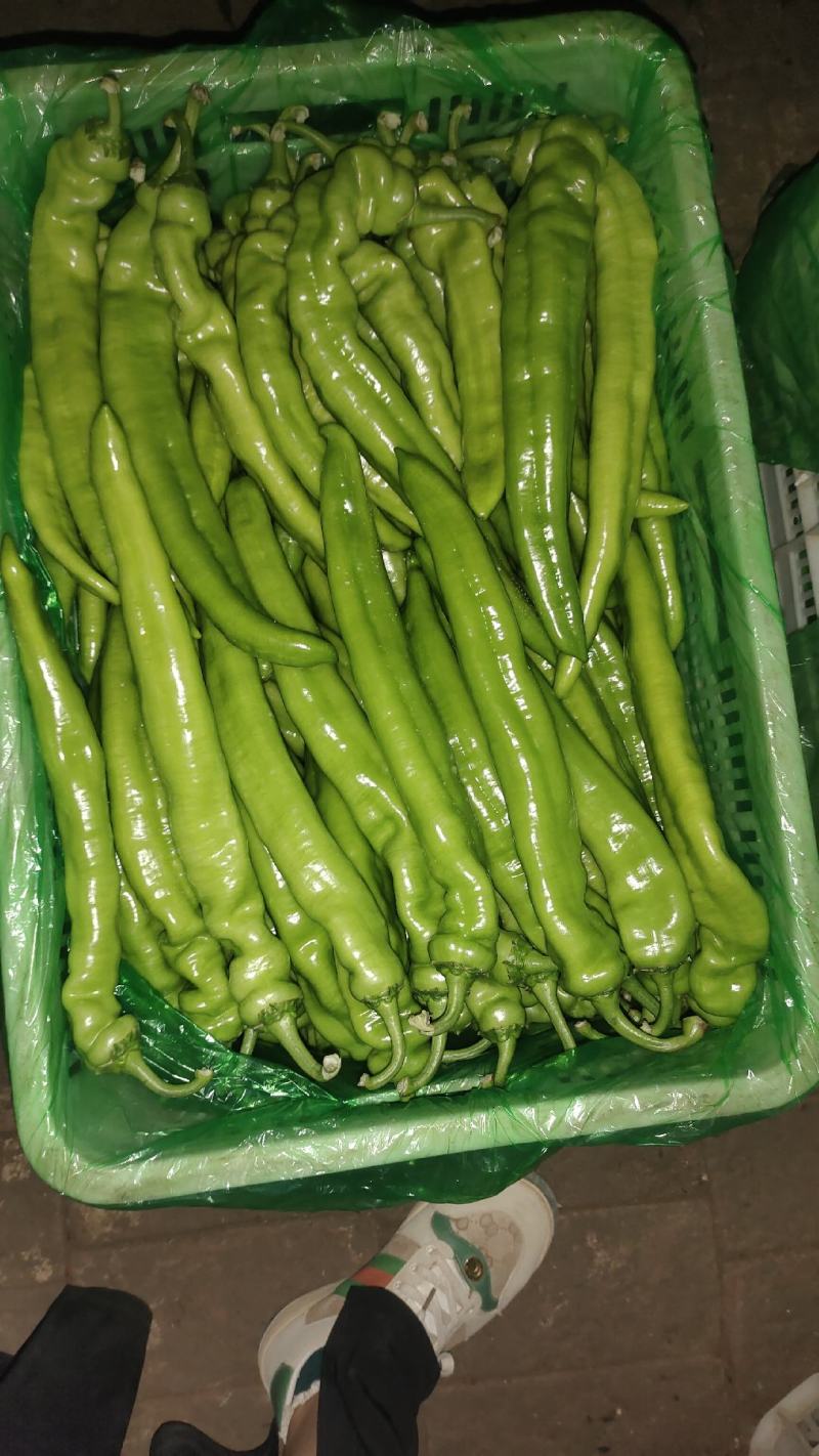 黄皮尖椒
