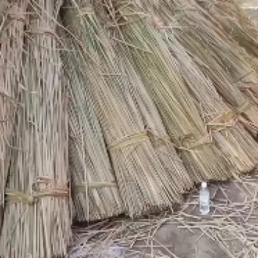 干蒲草，湿蒲草，蒲根，象牙菜