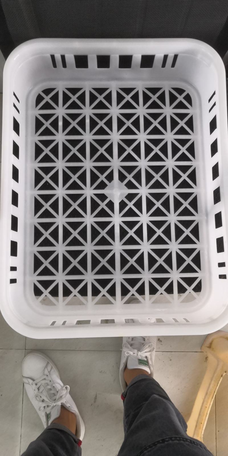 蘑菇培育盘_蘑菇周转箱耐高温培育筐_食用菌专用培育筐