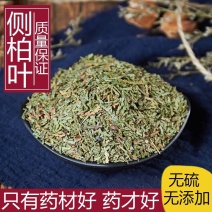 侧柏叶中药材侧柏叶无硫无添加经营各种规格中药材