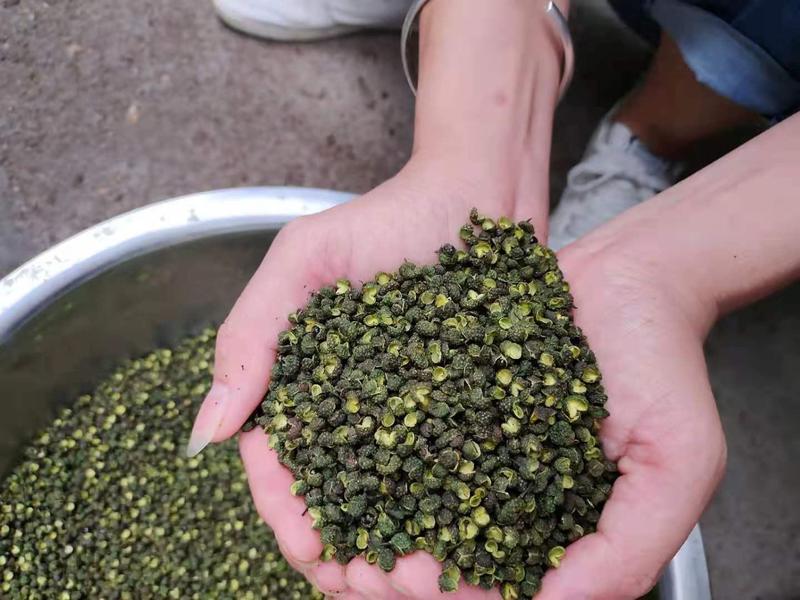 【精选】青花椒，百亩种植基地，产地直发，保质保量全国发货