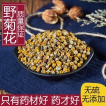 野菊花中药材野菊花无硫无添加经营各种规格中药材