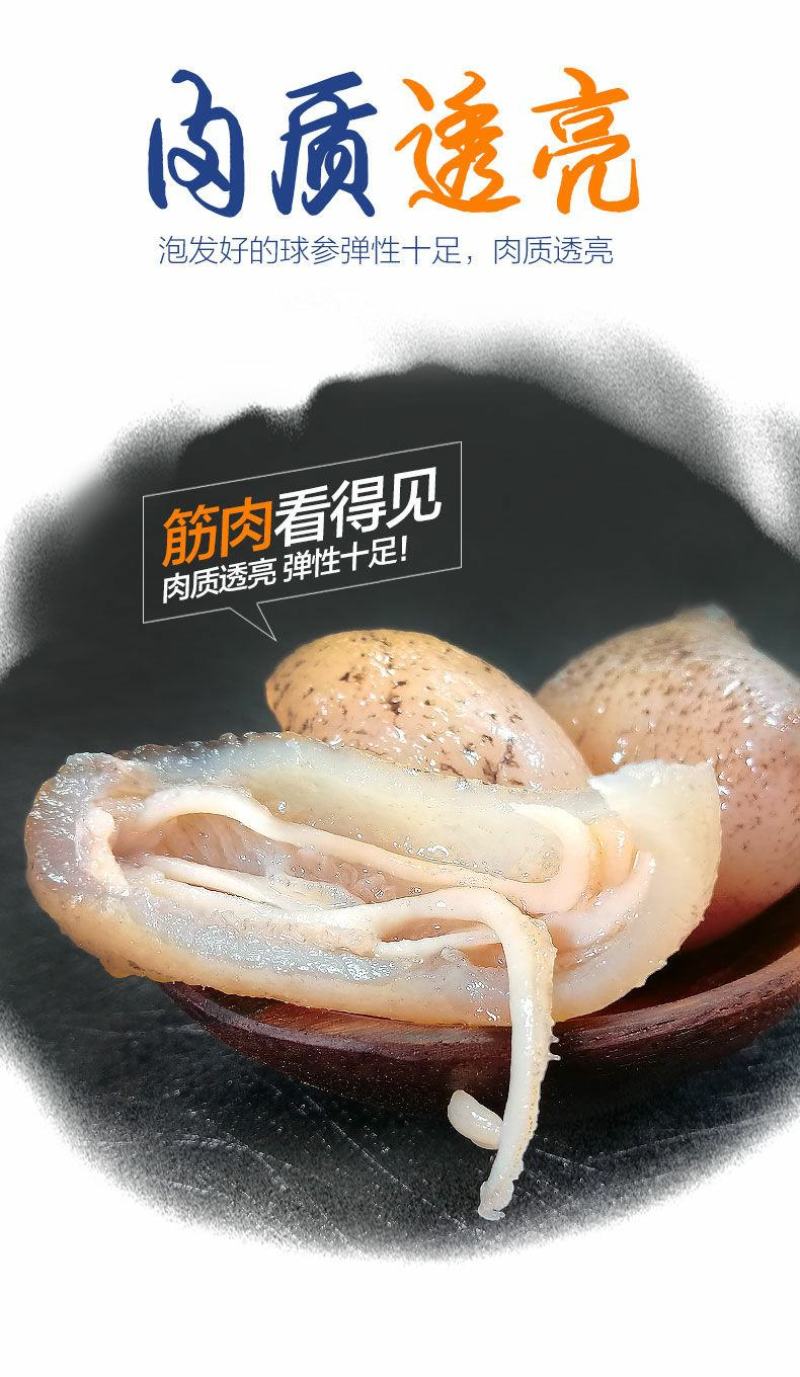 天然海参珍珠球参营养滋补美味（干货69元1斤包邮）