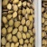 冻干鲍鱼批发鲍鱼干货黄金鲍厂家