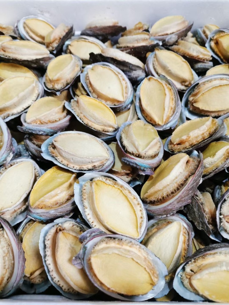 冻干鲍鱼批发鲍鱼干货黄金鲍厂家