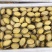 冻干鲍鱼批发鲍鱼干货黄金鲍厂家