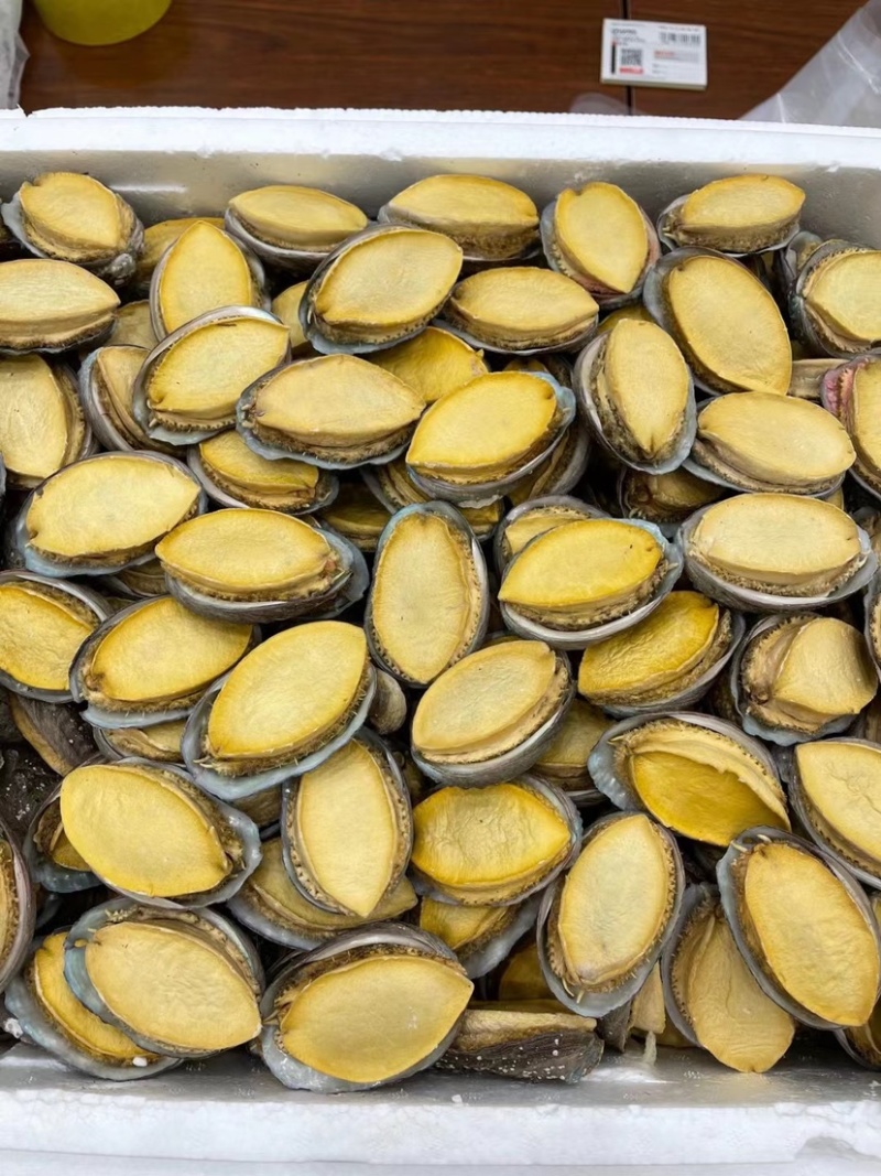 冻干鲍鱼批发鲍鱼干货黄金鲍厂家