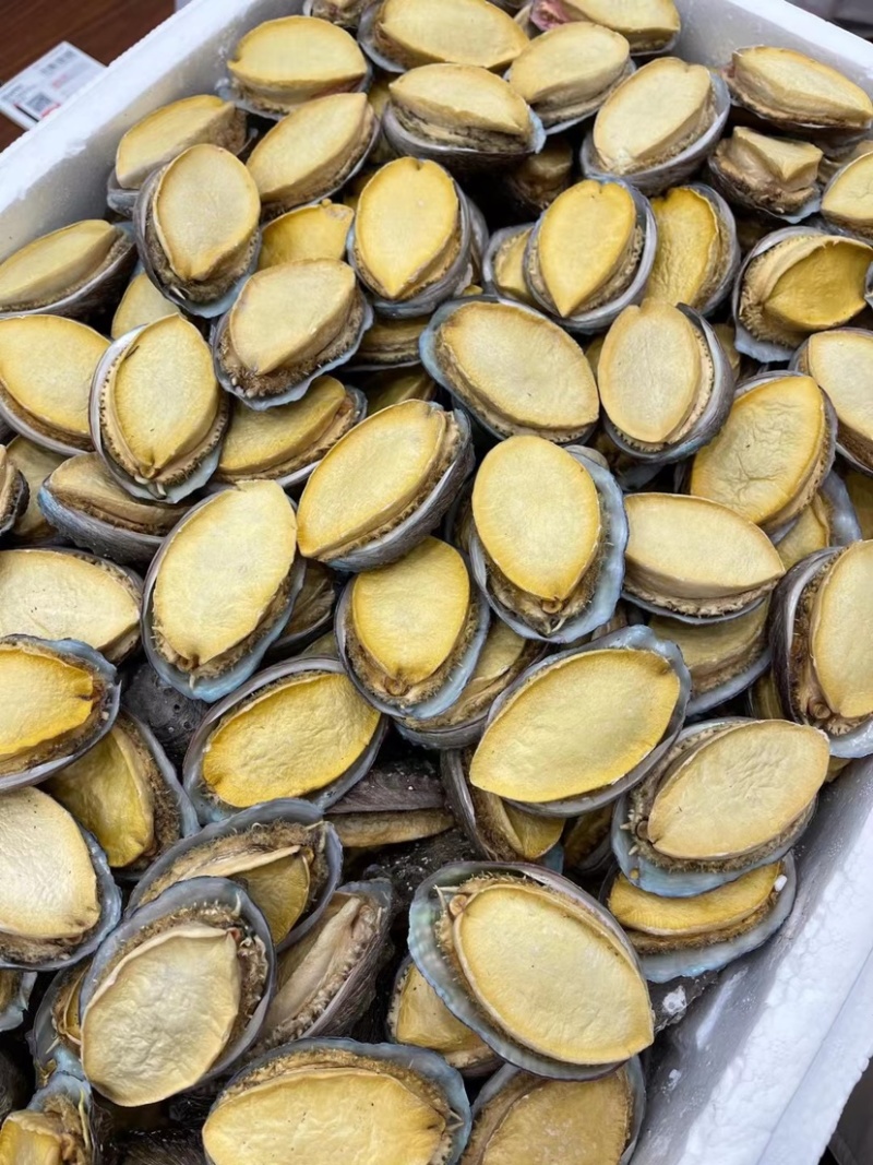 冻干鲍鱼批发鲍鱼干货黄金鲍厂家