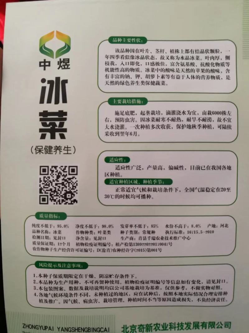 【优质】冰菜种子产量高口感爽脆长势快抗虫性好带小冰晶
