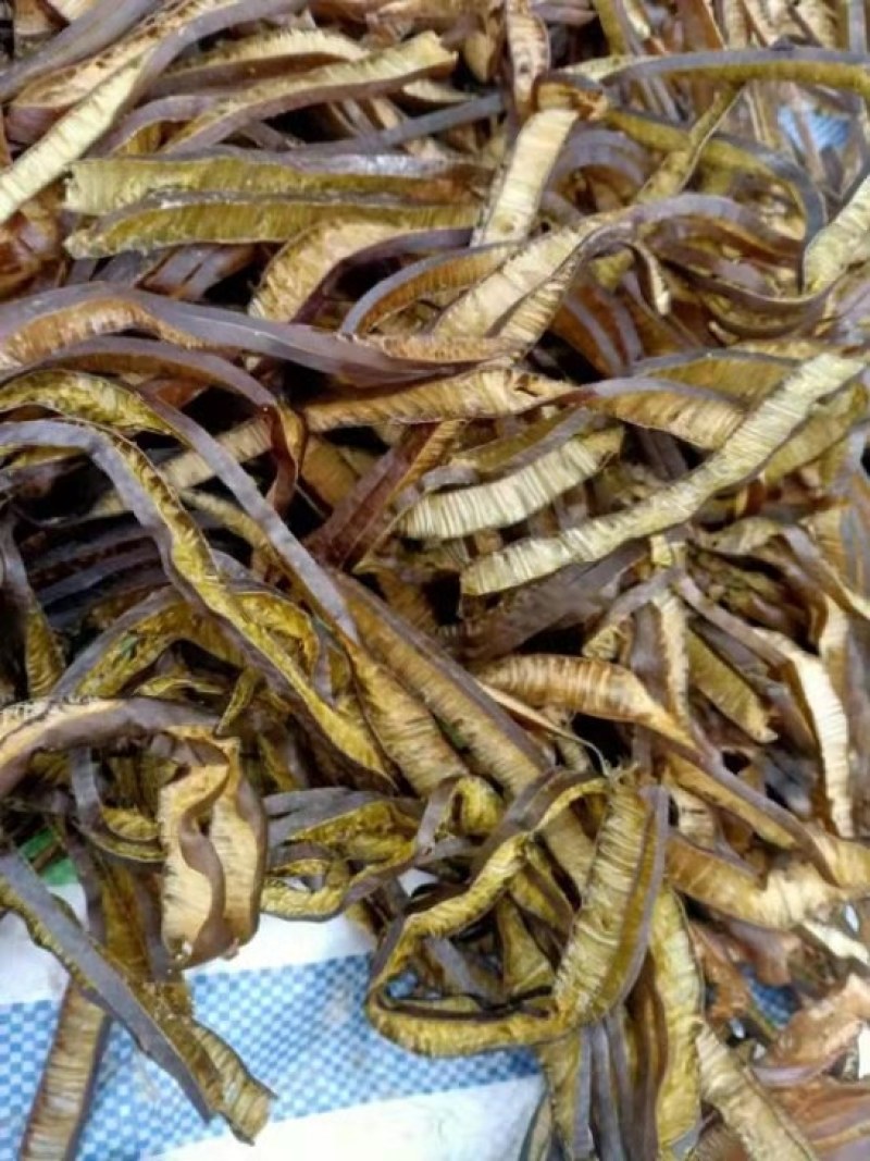 大量批发海笋海茸