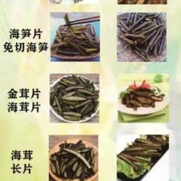 大量批发海笋海茸