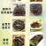 大量批发海笋海茸