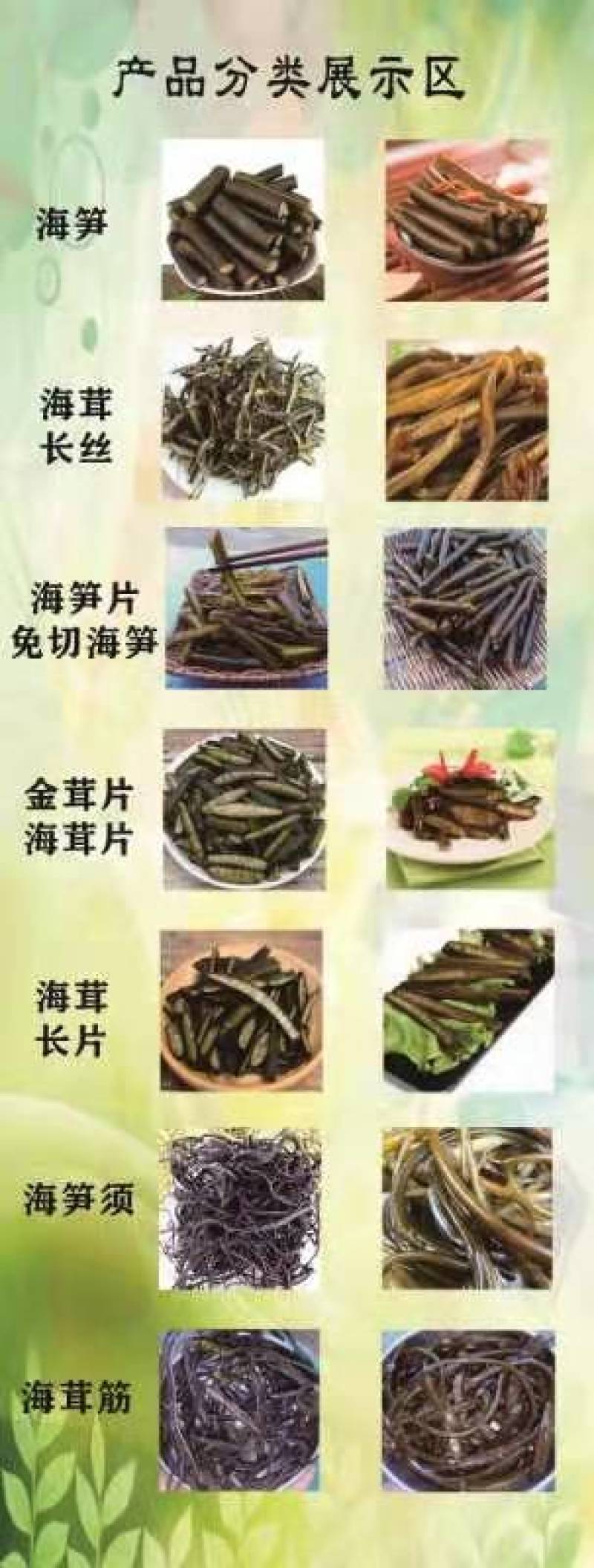大量批发海笋海茸
