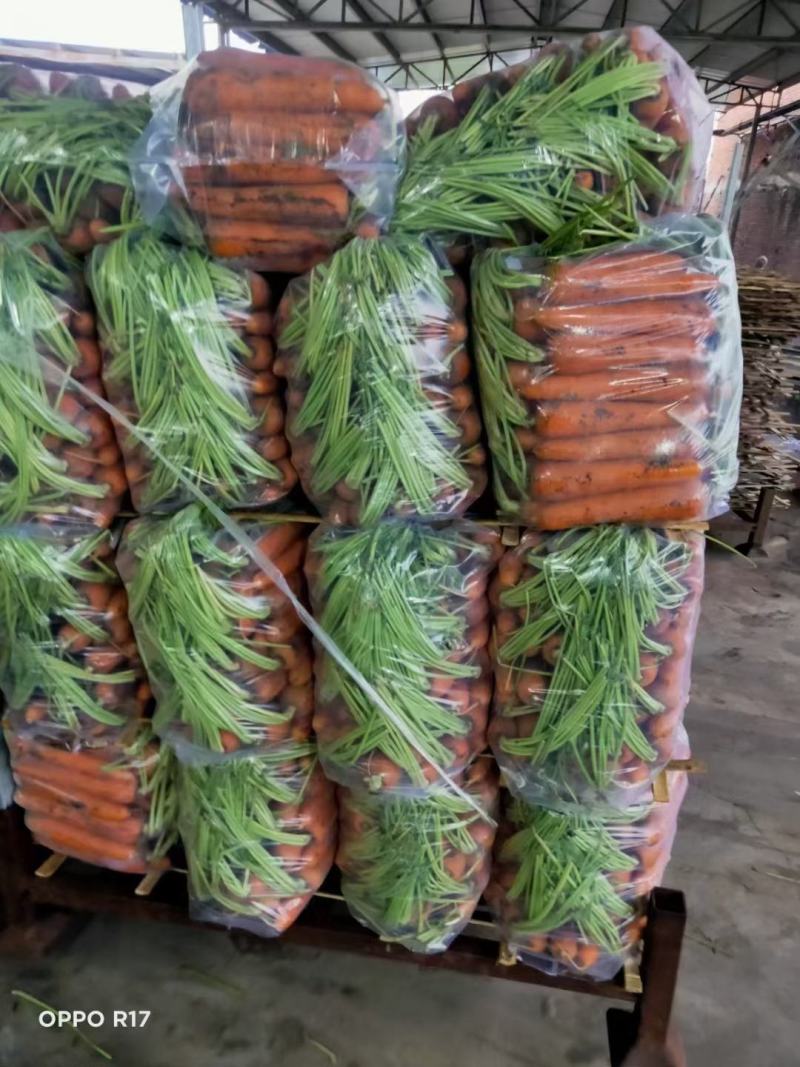 精品红萝卜，有中条大头小条，规格齐全，价格优惠