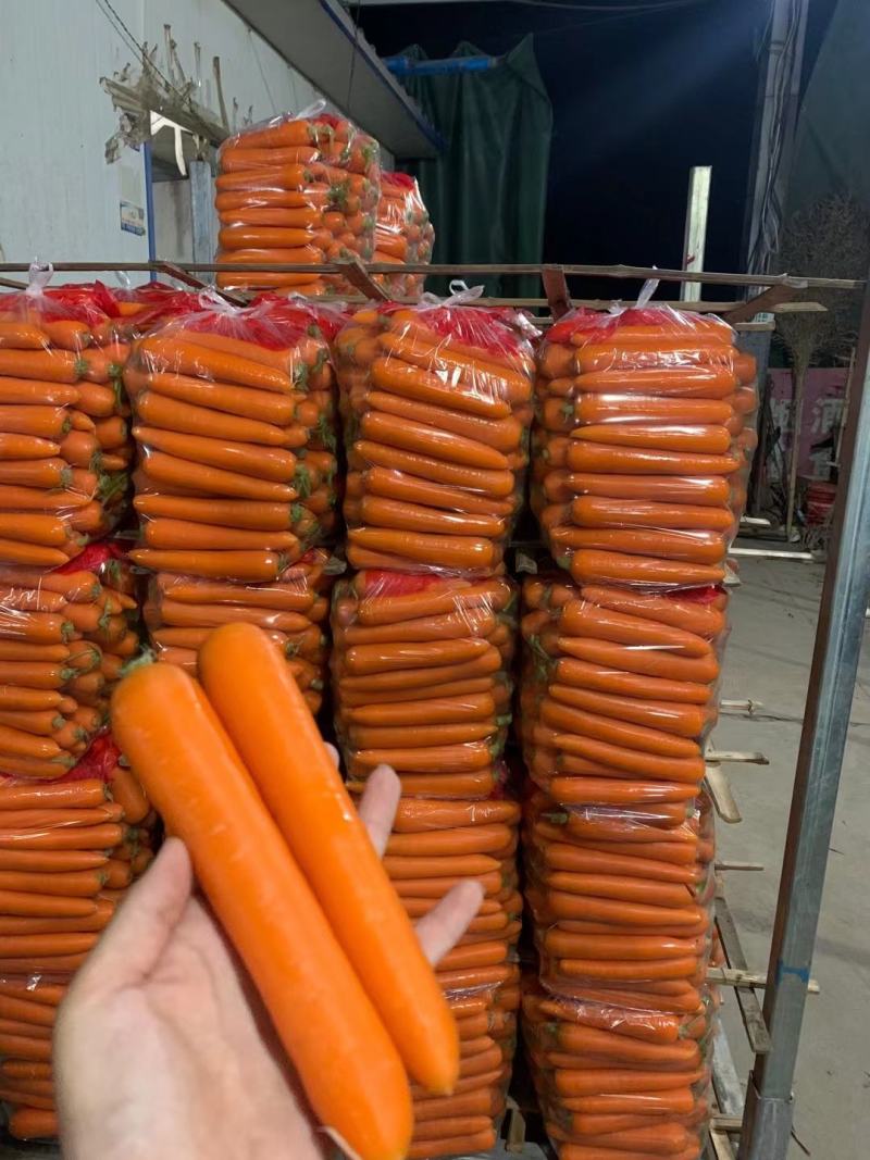 精品红萝卜，有中条大头小条，规格齐全，价格优惠