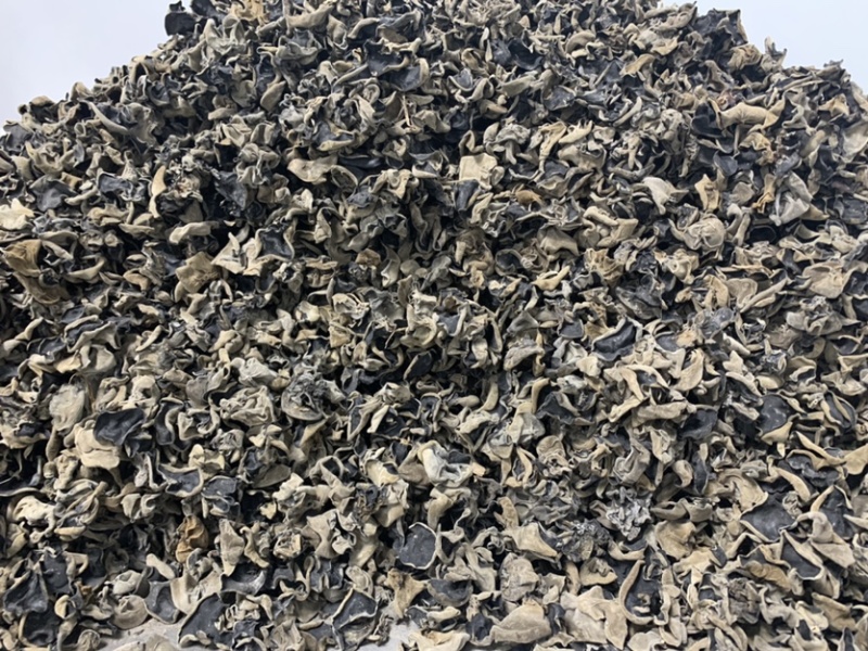 南阳产地供应150g特级黑木耳干货/量大从优/一手货源