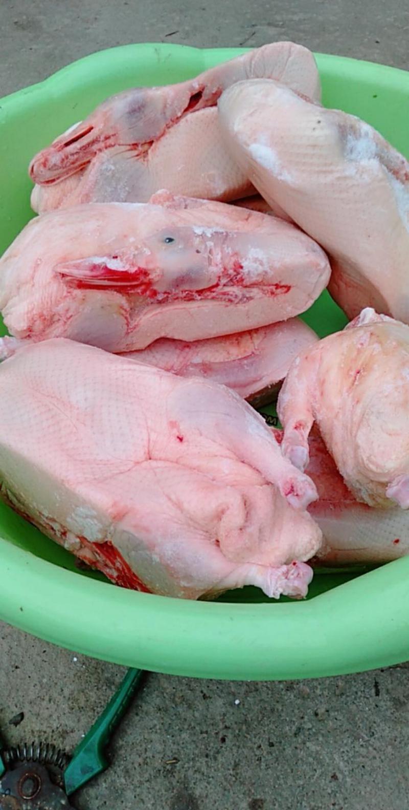 冷冻新鲜白条鸭每只4斤16公斤8只装樱桃谷瘦肉型烤鸭盐水