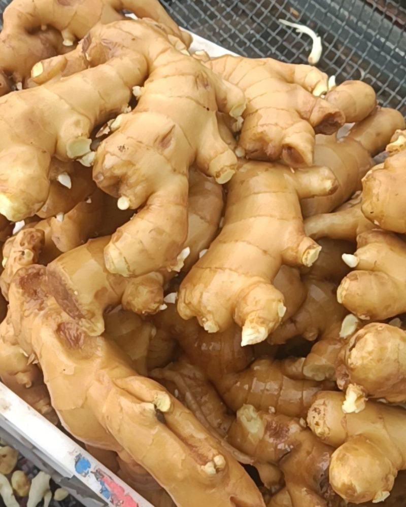 大姜