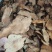 【推荐】土茯苓干片粉质，新鲜足干无硫产地直发量大优惠