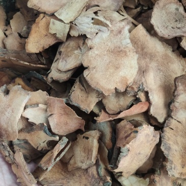 【推荐】土茯苓干片粉质，新鲜足干无硫产地直发量大优惠