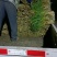 平度毛韭菜，高背韭菜，产地直销，质量优，欢迎各位老板砸单