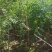 河南省周口市太康县万亩广友种植专业合作社