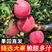 【推荐】山东苹果正宗红富士苹果条纹全红脆甜多汁皮薄脆爽