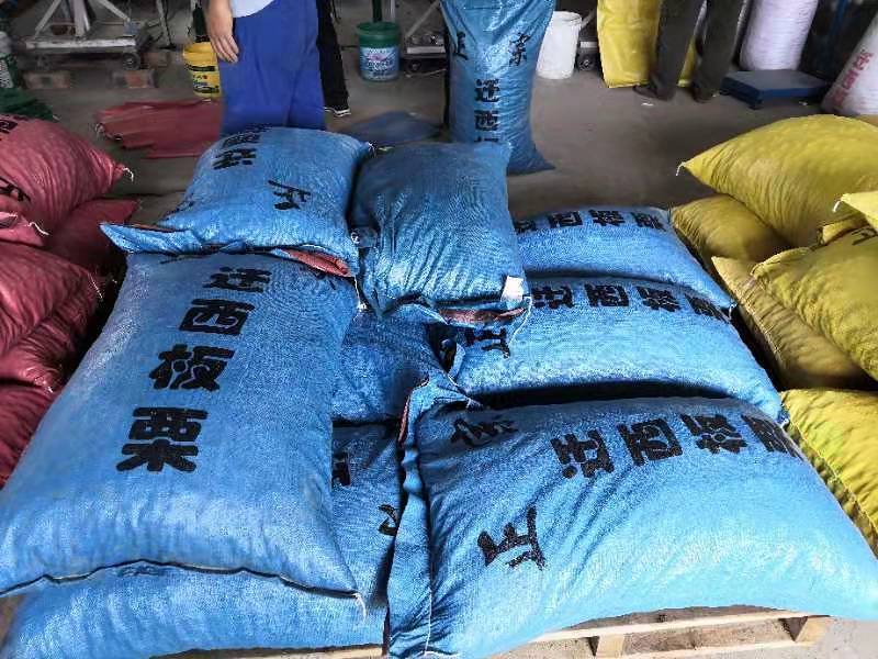 栗子河北栗子迁西板栗京东板栗量大从优精品货