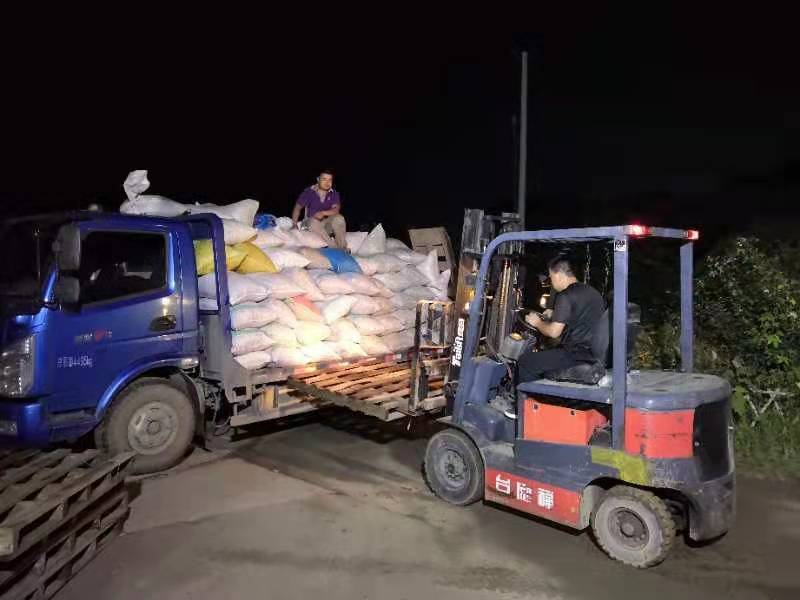 栗子河北栗子迁西板栗京东板栗量大从优精品货