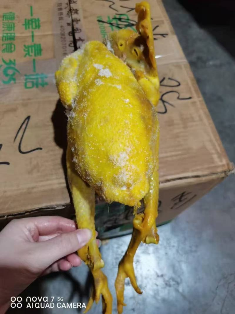 盐焗鸡，盐焗鸡腿跑地摊江湖地摊，卤菜店凉菜店好卖