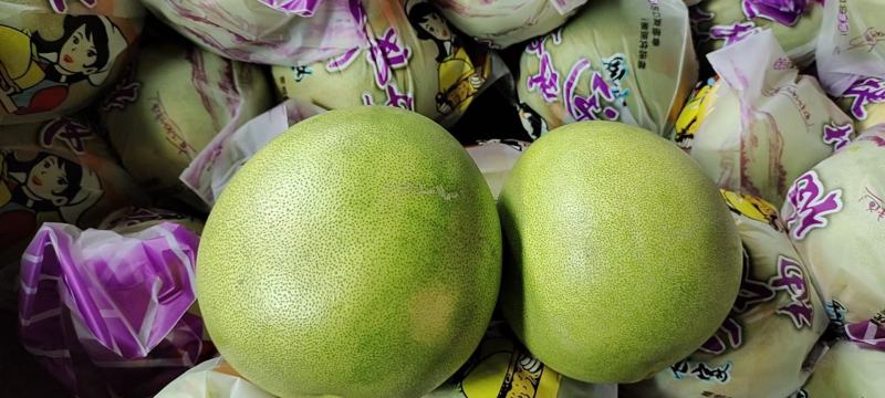 琯溪蜜柚、红心、三红柚货源充足量大从优果园现摘现发