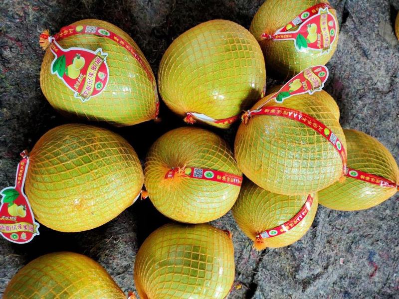 琯溪蜜柚、红心、三红柚货源充足量大从优果园现摘现发