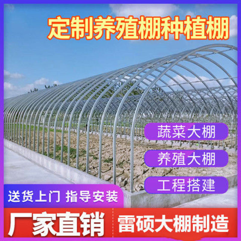 联栋大棚骨架钢管养殖大棚蔬菜大棚养鸡养猪养羊大棚种植花卉