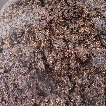 新鲜茅台镇酱香型，捆籽，碎沙，酒糟，高品质，养殖好饲料，