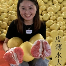 万亩平和三红柚子红心柚子供电商+一件代发