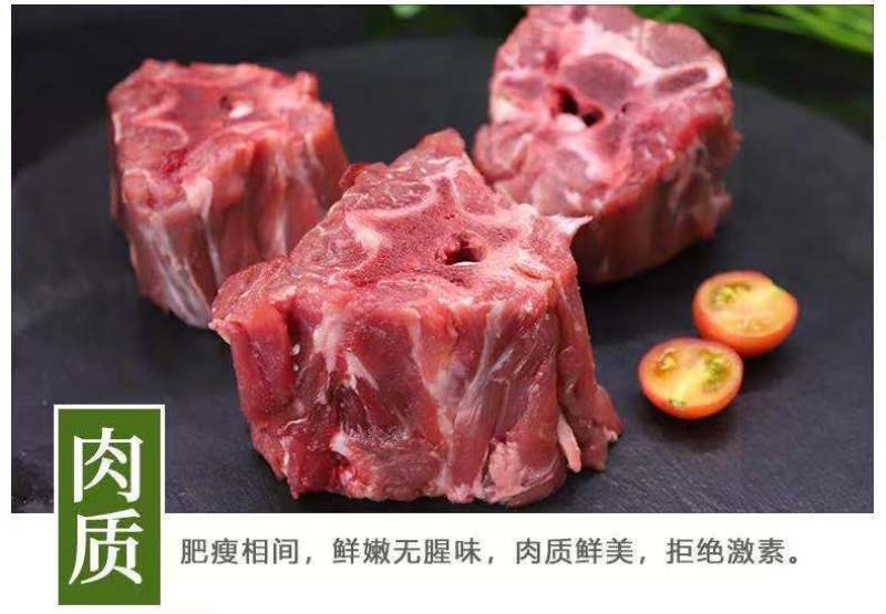内蒙古新鲜羊蝎子羊脊骨多肉火锅食材正宗羊脊背羊骨头包邮