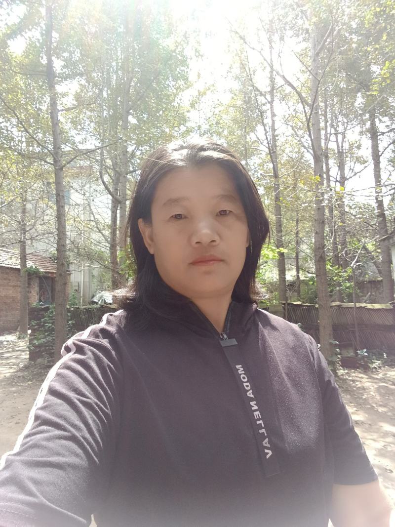 银杏树