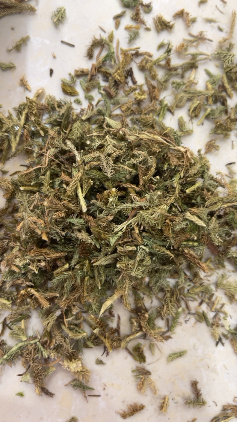 伸筋草中草药药材伸筋草大货