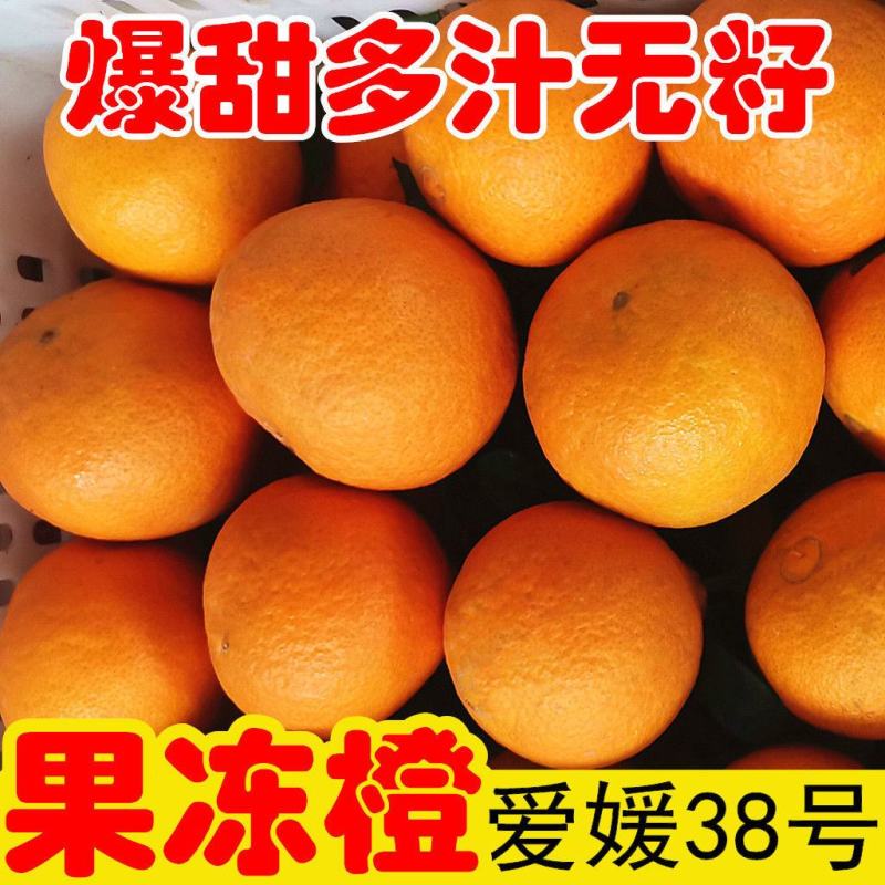 [现货一件代发]四川爱媛38号果冻橙大量支持各平台代发