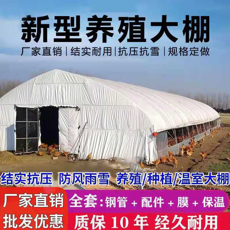 养殖大棚，鸡鸭鹅养殖大棚。椭圆管养殖大棚。包塑养殖棚