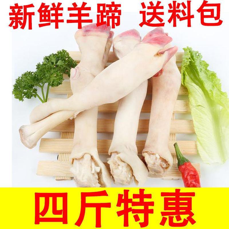 新鲜现杀羊蹄农家羔羊蹄山羊蹄绵羊蹄羊脚冷冻羊蹄带筋包邮