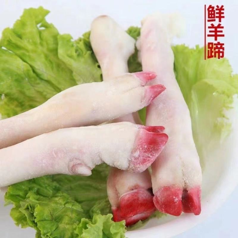 新鲜现杀羊蹄农家羔羊蹄山羊蹄绵羊蹄羊脚冷冻羊蹄带筋包邮