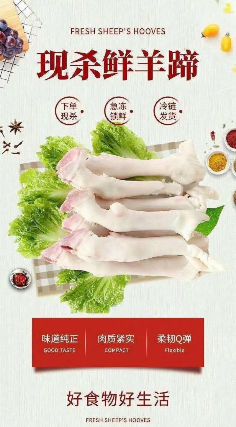 新鲜现杀羊蹄农家羔羊蹄山羊蹄绵羊蹄羊脚冷冻羊蹄带筋包邮