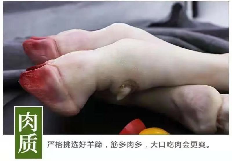 新鲜现杀羊蹄农家羔羊蹄山羊蹄绵羊蹄羊脚冷冻羊蹄带筋包邮