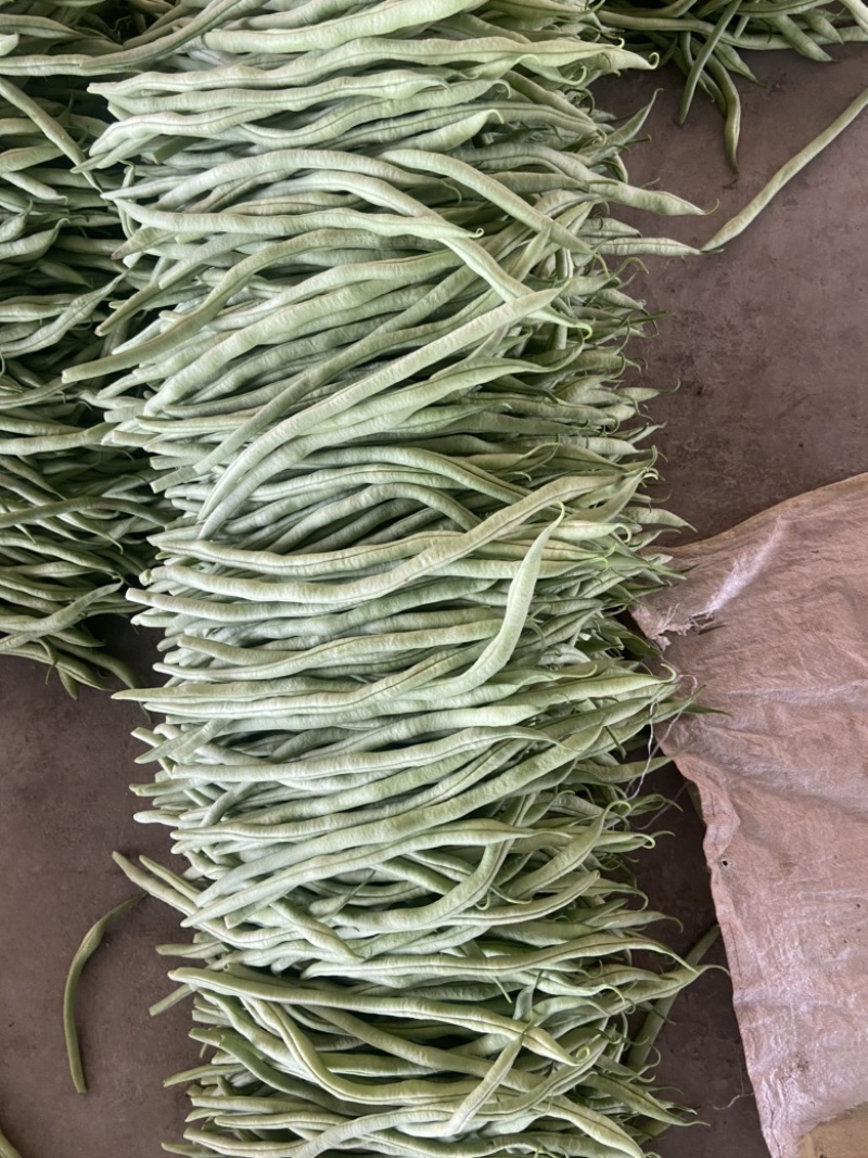 精品脱水架豆王加工厂大量有货