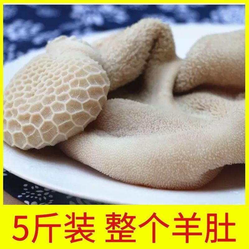 商用熟羊肚鲜全整个羊肚冻羊毛肚整个羊肚新鲜纯羊肚熟食包邮